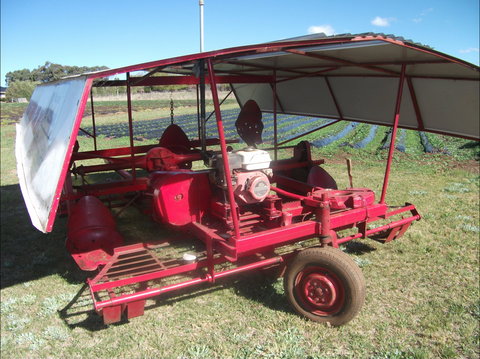 The Super Strawberry - Attractions Sydney 2