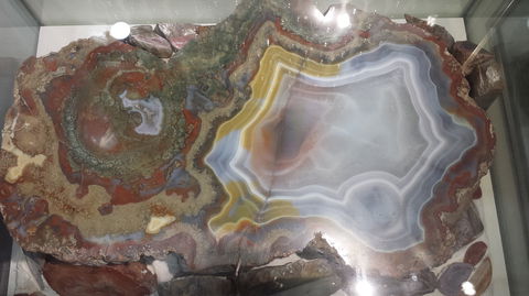 The Ted Elliott Mineral Collection - Attractions Sydney 1