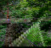 Thunderbird Park  - Tamborine Mountain Gold Coast Region - Attractions Sydney