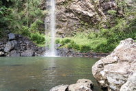Twin Falls Circuit Springbrook National Park