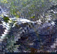 Ugly Corner Falls Walking Track - Attractions Sydney