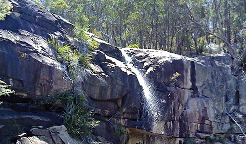 Ugly Corner Falls Walking Track - Attractions Sydney 0