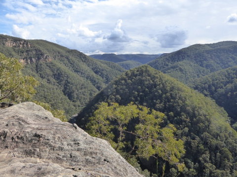 Vale Of Avoca - Attractions Sydney 0