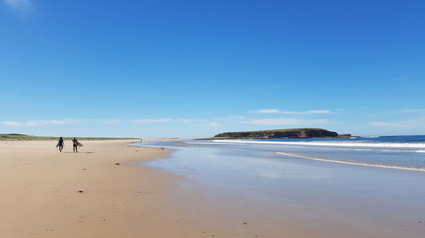 Warilla - Attractions Sydney 0