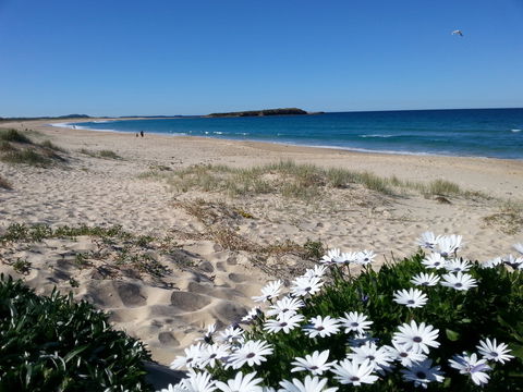 Warilla - Attractions Sydney 1