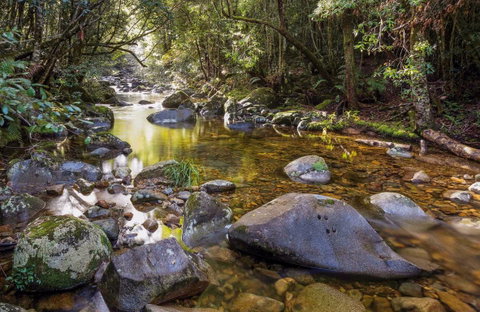 Washpool Walking Track - Attractions Sydney 0