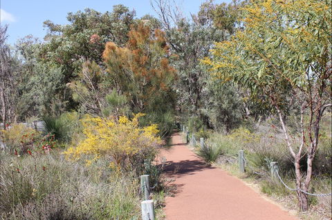 Wireless Hill Park - Attractions Sydney 1