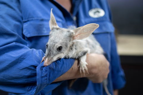 9 Day Outback Adventure - Attractions Sydney 0