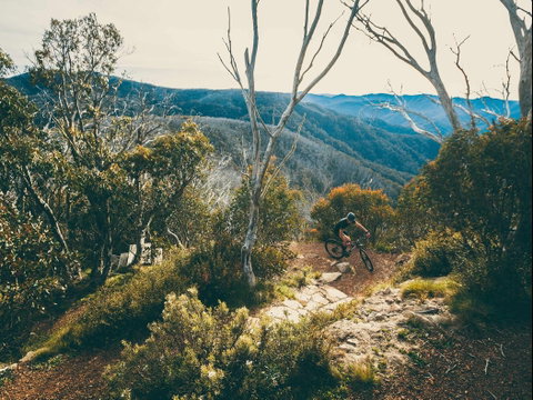 Australian Alpine Epic Mountain Bike Trail - Attractions Sydney 1