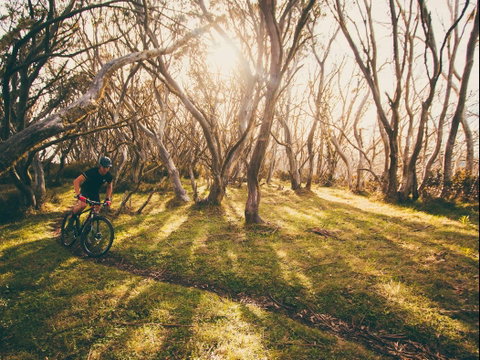 Australian Alpine Epic Mountain Bike Trail - Attractions Sydney 2