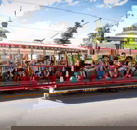 Bendigo Tramways Vintage Talking Tram - Attractions Sydney