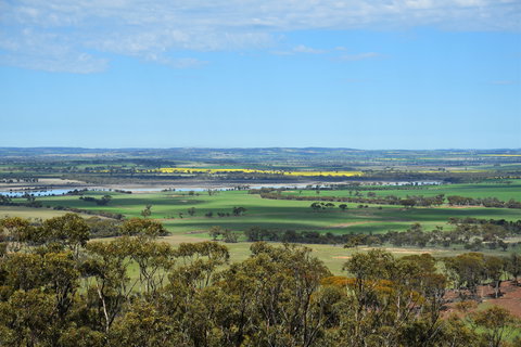 Beverley - Attractions Sydney 0