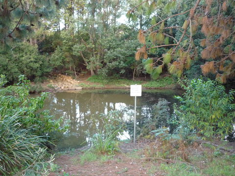 Birdwing Butterfly Walk - Attractions Sydney 0