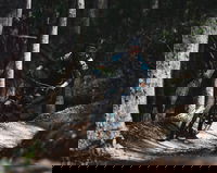 Boomerang Farm Bike Park