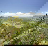 Border Ranges National Park - Attractions Sydney