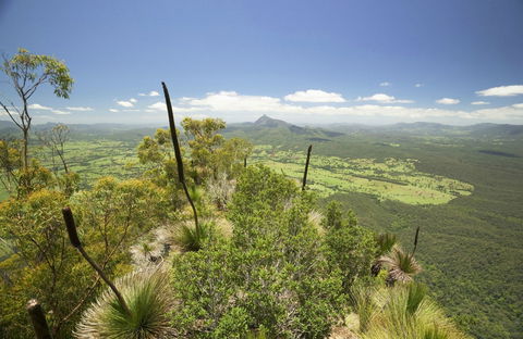 Border Ranges National Park - Attractions Sydney 0