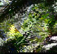 Byrrill Creek Walking Track - Attractions Sydney
