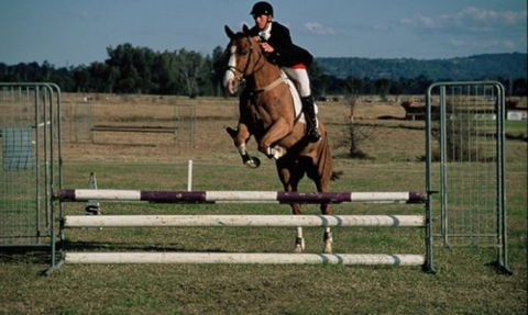 Camden Bicentennial Equestrian Park - Attractions Sydney 0