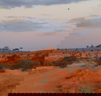 Castle Rock walk and Lookout - Attractions Sydney