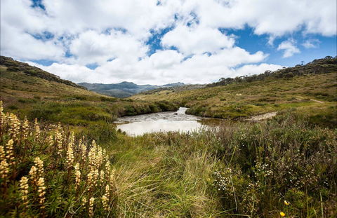 Cascade Hut Trail - Attractions Sydney 0