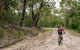 Cawleys Road Trail - thumb 0