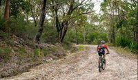 Cawleys Road trail