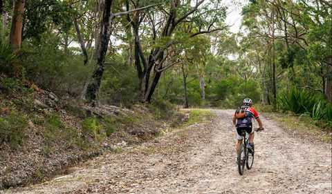 Cawleys Road Trail - Attractions Sydney 0