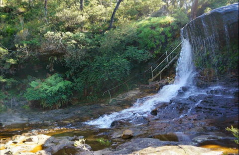 Charles Darwin Walk - Attractions Sydney 0