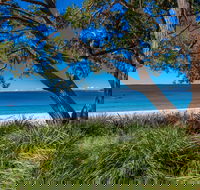 Collingwood Beach - Attractions Sydney