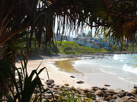 Convent Beach - Attractions Sydney 1