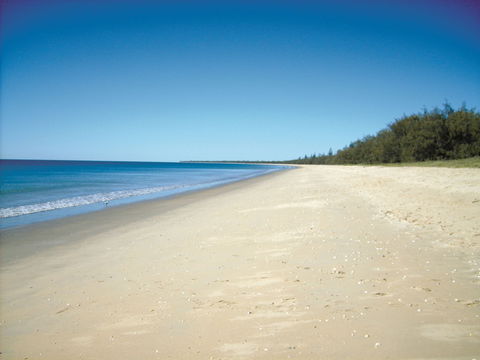 Coral Coast Pathways (Woodgate Beach Section) - Attractions Sydney 0