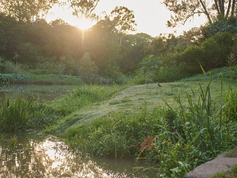 Cribb Park - Attractions Sydney 2