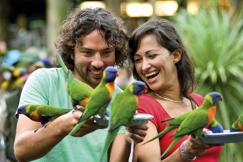 Currumbin Wildlife Sanctuary - Attractions Sydney 0