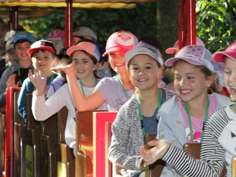 Currumbin Wildlife Sanctuary - Attractions Sydney 1