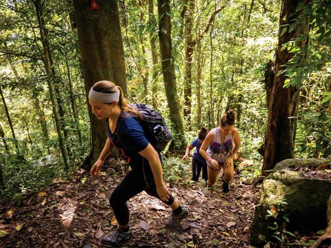 Devils Thumb (Manjal Jimalji) Trail - Attractions Sydney 0