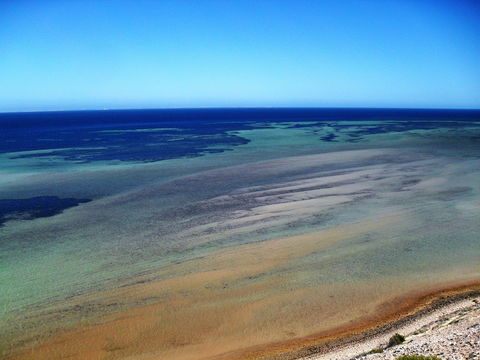 Eagle Bluff - Attractions Sydney 2