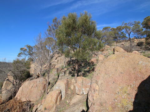 Eldorado And The Woolshed Valley - Attractions Sydney 2