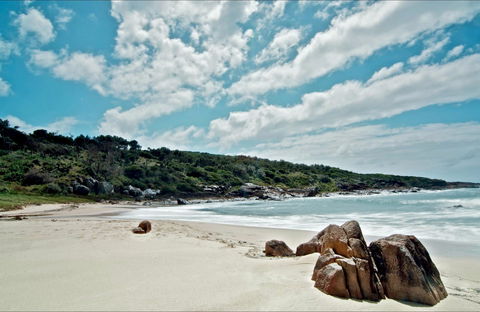 Fishermans Bay Foreshore - Attractions Sydney 0