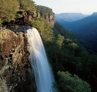 Fitzroy Falls - Attractions Sydney