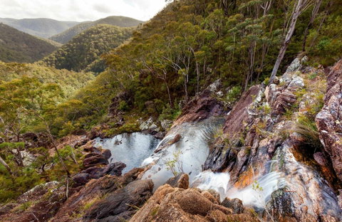 Gibraltar Range National Park - Attractions Sydney 0