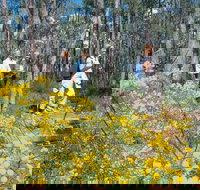 Gidgegannup - Attractions Sydney