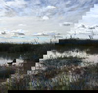 Gwydir Wetlands Moree - Attractions Sydney