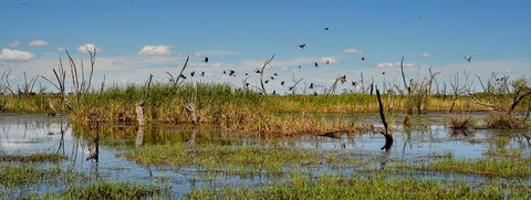 Gwydir Wetlands Moree - Attractions Sydney 1