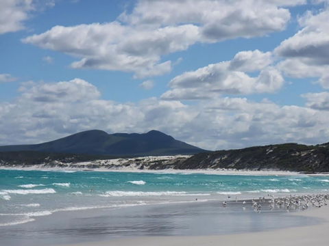 Hakea Walk Trail, East Fitzgerald National Park - Attractions Sydney 0