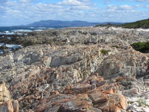 Hakea Walk Trail, East Fitzgerald National Park - Attractions Sydney 1