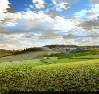 Hodgson Vale - Attractions Sydney