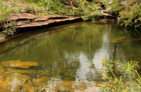 Hominy Creek Walking Track - Attractions Sydney 0