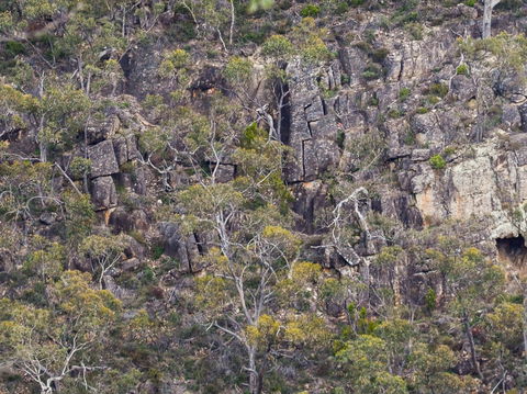 Horsnell Gully And Giles Conservation Parks - Attractions Sydney 0