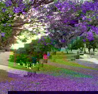 Howe Park - Attractions Sydney