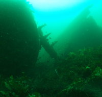Investigator Strait Shipwreck Trail - Attractions Sydney
